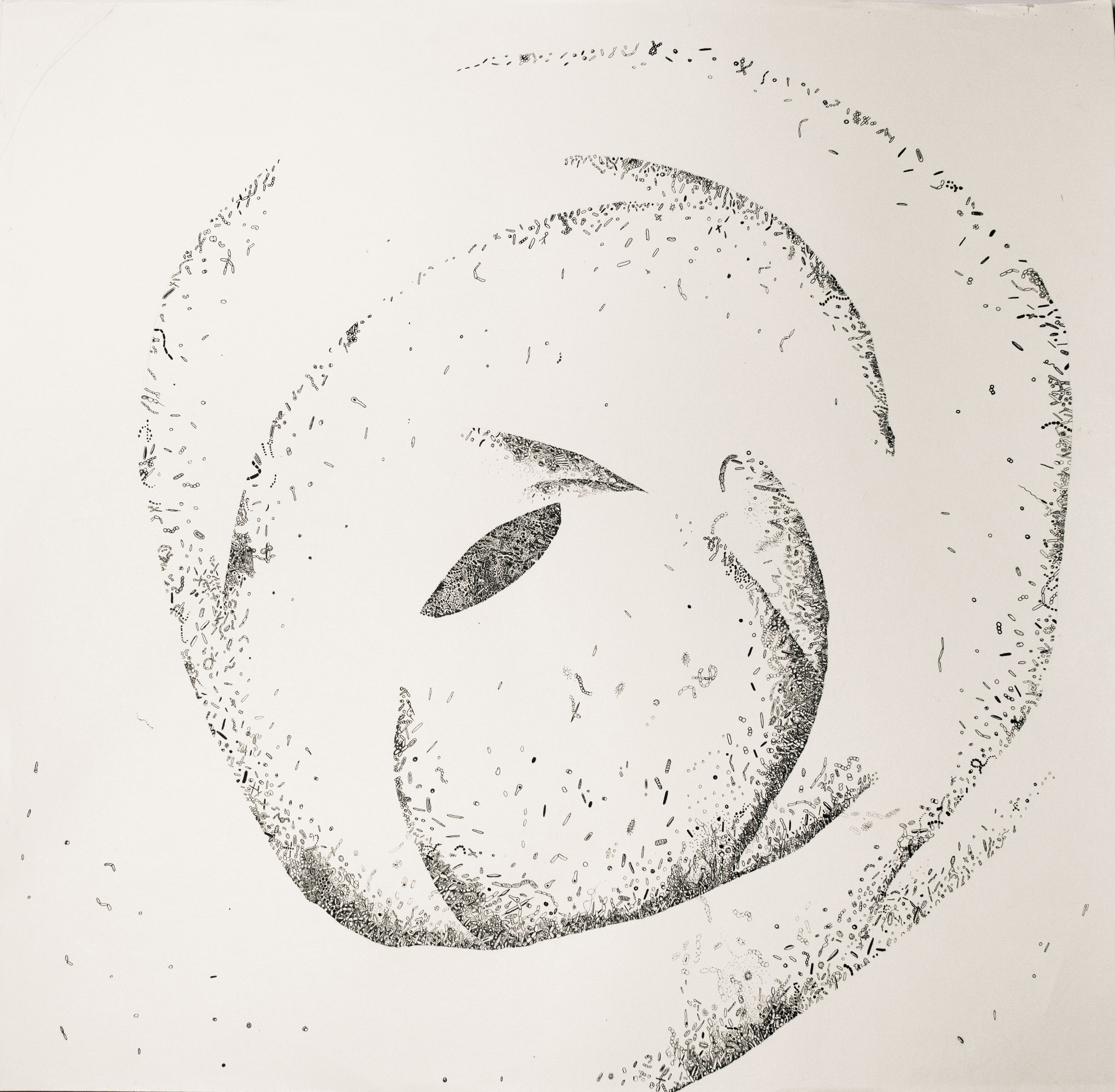 1_ks_corpusinteriusi