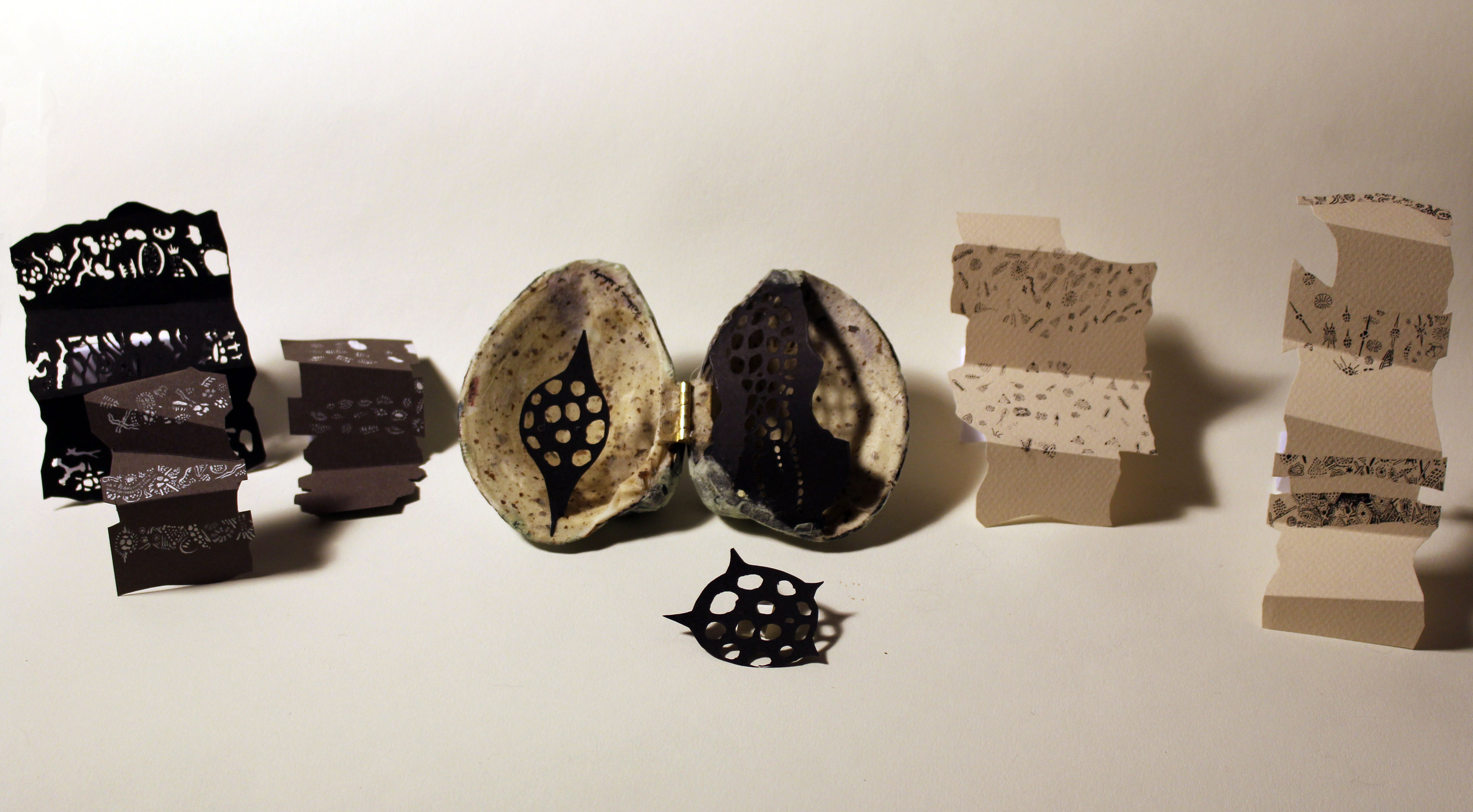 schwarting_book_inside