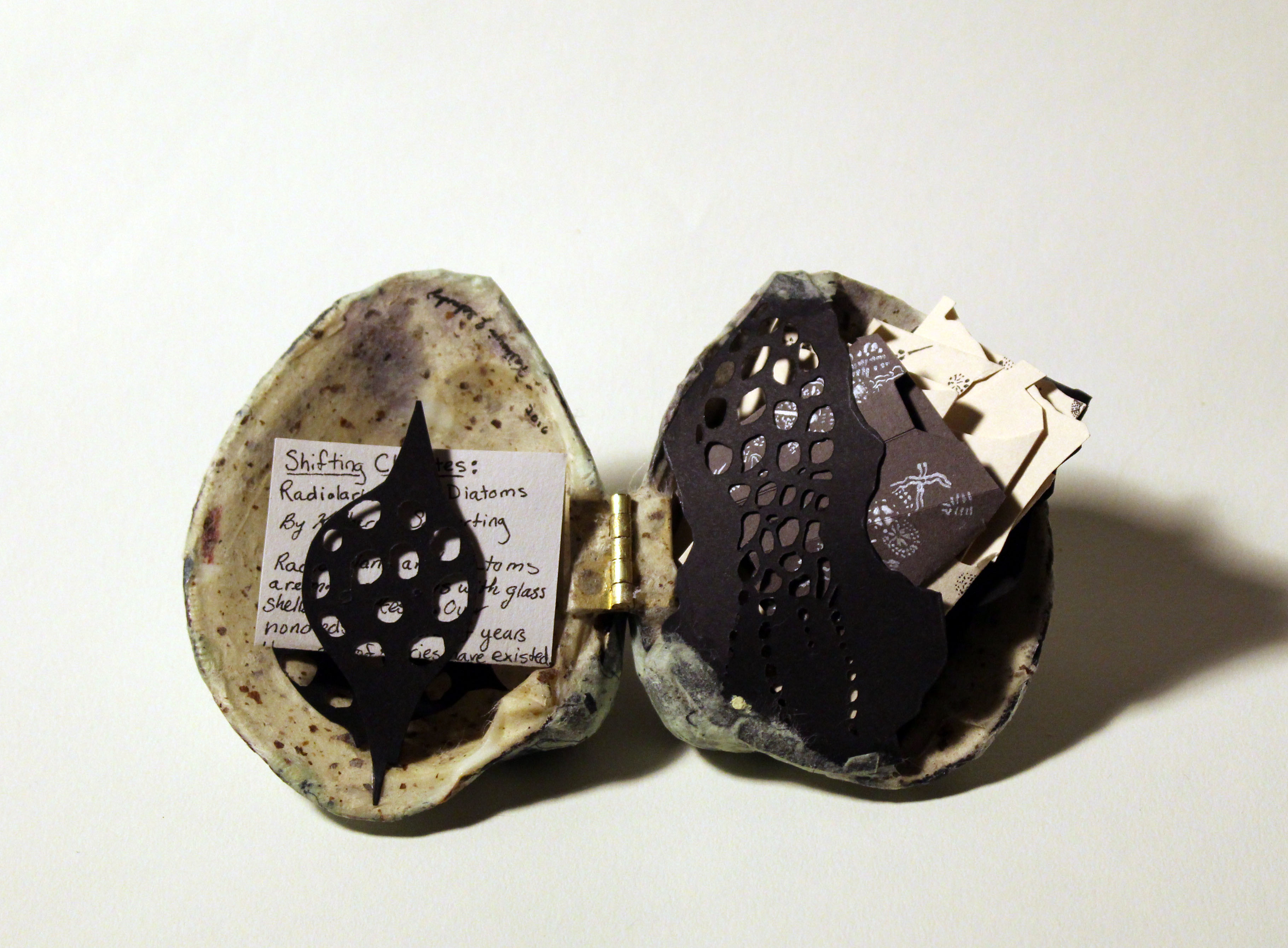 Schwarting_book_interior